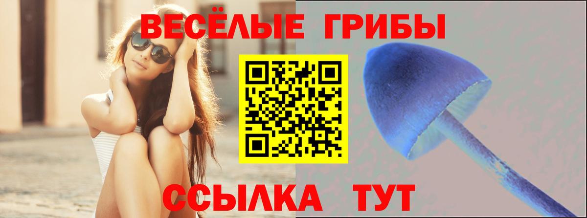 Псилоцибиновые грибы Cubensis  Вход с VPN  Жигулёвск  Псилоцибиновые грибы прущие грибы 